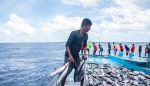 La FAO celebra el nuevo tratado para salvaguardar la diversidad biológica marina en aguas internacionales
